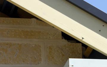 soffit repair Wallston